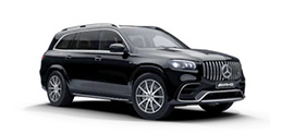 AMG GLE